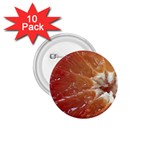 fruits-03 1.75  Button (10 pack) 