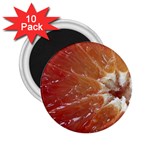 fruits-03 2.25  Magnet (10 pack)