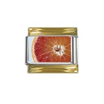 fruits-03 Gold Trim Italian Charm (9mm)