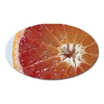 fruits-03 Magnet (Oval)