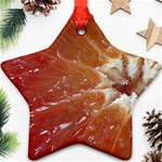 fruits-03 Star Ornament (Two Sides)