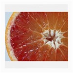 fruits-03 Glasses Cloth (Medium, Two Sides)