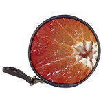 fruits-03 Classic 20-CD Wallet