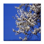 flowers-c4bt Tile Coaster