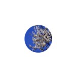 flowers-c4bt 1  Mini Magnet