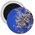 flowers-c4bt 3  Magnet