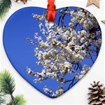 flowers-c4bt Ornament (Heart)