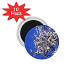 flowers-c4bt 1.75  Magnet (10 pack) 