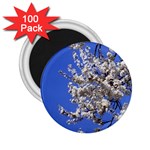 flowers-c4bt 2.25  Magnet (100 pack) 