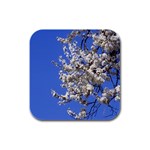 flowers-c4bt Rubber Square Coaster (4 pack)