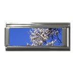 flowers-c4bt Superlink Italian Charm (9mm)