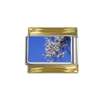 flowers-c4bt Gold Trim Italian Charm (9mm)
