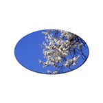 flowers-c4bt Sticker (Oval)