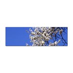 flowers-c4bt Sticker (Bumper)