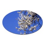 flowers-c4bt Magnet (Oval)