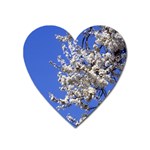 flowers-c4bt Magnet (Heart)