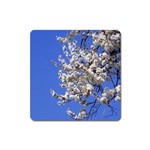 flowers-c4bt Magnet (Square)