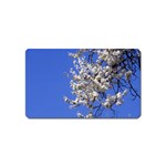 flowers-c4bt Magnet (Name Card)