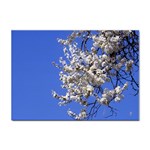 flowers-c4bt Sticker A4 (10 pack)