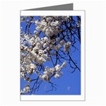 flowers-c4bt Greeting Card