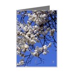 flowers-c4bt Mini Greeting Card