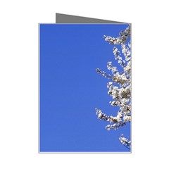 flowers Right