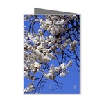 flowers-c4bt Mini Greeting Cards (Pkg of 8)