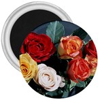 flowers-02 3  Magnet