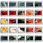 flowers-02 9mm Italian Charm (25 pack)