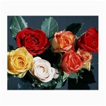 flowers-02 Glasses Cloth (Small, Two Sides)