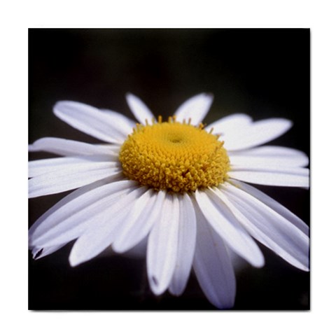 flower Front