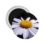 flower-i59e 2.25  Magnet