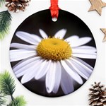 flower-i59e Ornament (Round)