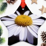 flower-i59e Ornament (Star)