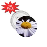 flower-i59e 1.75  Button (10 pack) 