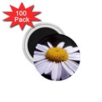 flower-i59e 1.75  Magnet (100 pack) 