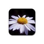 flower-i59e Rubber Coaster (Square)