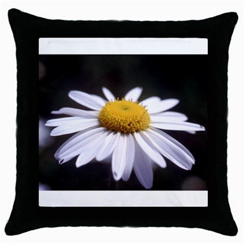 flower Front