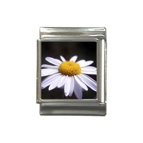 flower Front