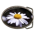 flower-i59e Belt Buckle