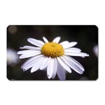 flower-i59e Magnet (Rectangular)