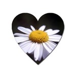 flower-i59e Magnet (Heart)