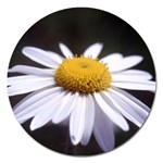 flower-i59e Magnet 5  (Round)