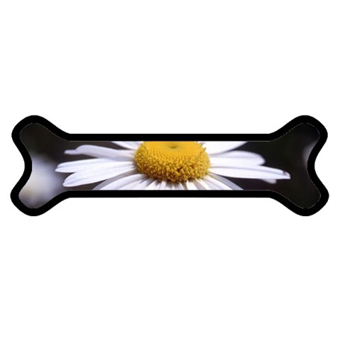 flower Front