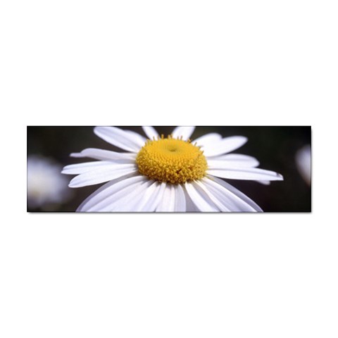 flower Front