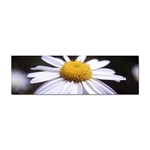 flower-i59e Sticker Bumper (100 pack)