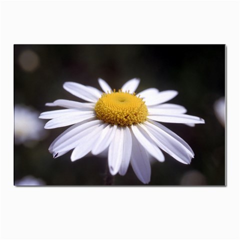 flower Front
