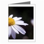 flower-i59e Greeting Card