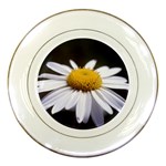 flower-i59e Porcelain Plate