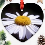 flower-i59e Heart Ornament (Two Sides)